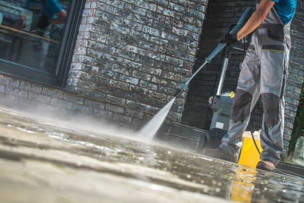 Best Graffiti Removal  in San Leandro, CA